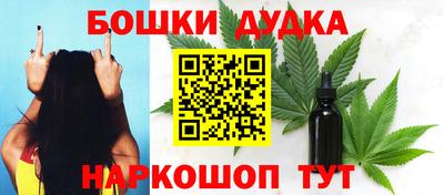 гидра Кандалакша