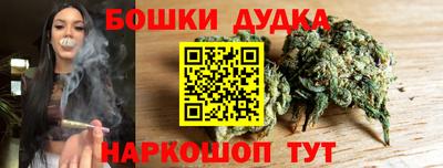 гидра Кандалакша