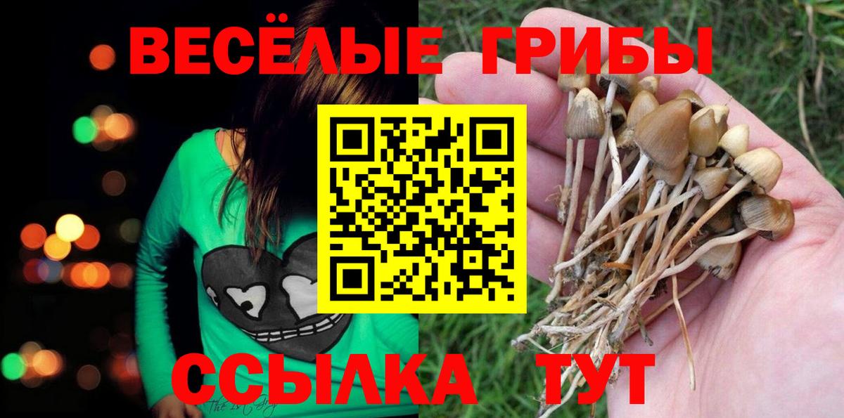 Псилоцибиновые грибы MAGIC MUSHROOMS Кстово