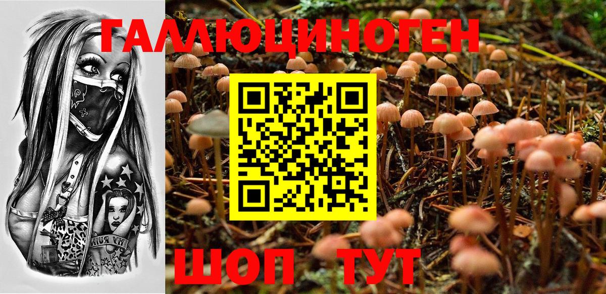 продажа наркотиков  Вход с VPN  Кстово  Галлюциногенные грибы Magic Shrooms 